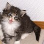 Ouriel, 4 weeks