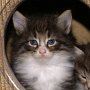 Ouriel, 5 weeks