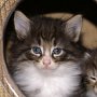 Ouriel, 5 weeks