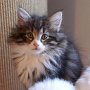 Ouriel, 7 weeks