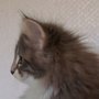 Olivia, 9 weeks