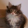 Ouriel, 9 weeks