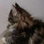 Ouriel, 9 weeks