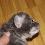 Rihanna, 2 weeks