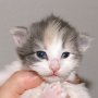 Roxanne, 2 weeks