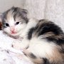Roxanne, 2 weeks