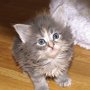 Rihanna, 4 weeks
