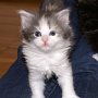 Roxanne, 4 weeks
