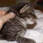 Reyna, 2 weeks