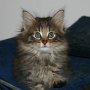 Reyna, 7 weeks