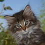 Reyna, 9 weeks