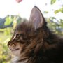 Reyna, 9 weeks