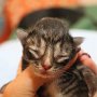 Talya, 2 days