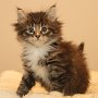 Talya, 6 weeks
