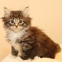 Talya, 6 weeks