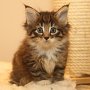 Timea, 6 weeks