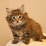 Tobiasse, 6 weeks