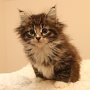 Talya, 8 weeks