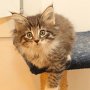 Timea, 8 weeks