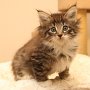 Timea, 8 weeks