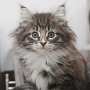 Talya, 9 weeks