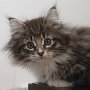 Talya, 9 weeks