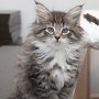 Timea, 9 weeks