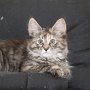 Ulyne, 11 weeks
