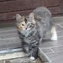 Umya, 12 weeks