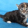 Uxane, 3 weeks