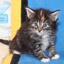Uxane, 5 weeks
