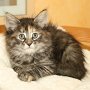 Ulyne, 8 weeks