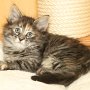 Ulyne, 8 weeks