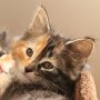 Umya, 8 weeks