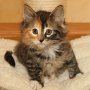 Umya, 8 weeks