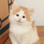 Gisèle, 5 weeks