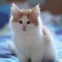 Gisèle, 9 weeks