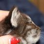 Galizia, 3 weeks