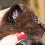 Giacometti, 3 weeks