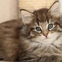 Gericault, 9 weeks