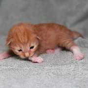 Valinor, 10 days