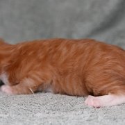 Valinor, 10 days