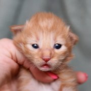 Valinor, 10 days