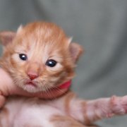 Valinor, 10 days
