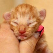 Valinor, 1 day