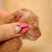 Valinor, 1 day