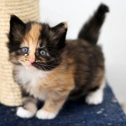 Vilya, 3 weeks