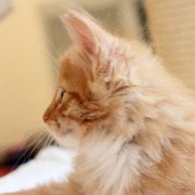 Valinor, 6 weeks