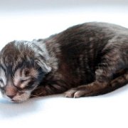 Wendy, 1 day