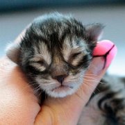 Wendy, 1 day